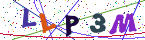 画像認証
